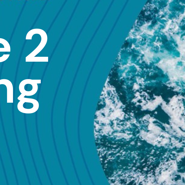 Picture of the sea and the words Article 2 training