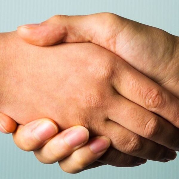 Two hands are shaking. One has the words 'Civil Society' while the other has the words 'Public Sector'.